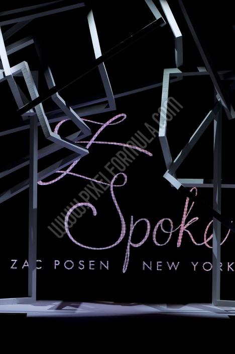FASHION SHOW,NEW YORK,SPRING SUMMER 2011,Z SPOKE BY ZAC POSEN
